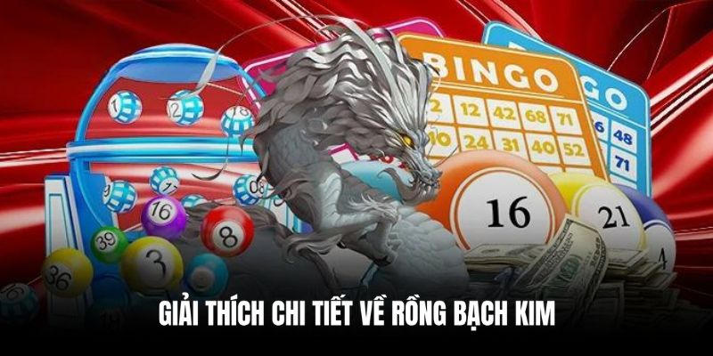 Giải thích chi tiết về Rồng Bạch Kim